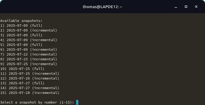 Selecting the snapshot for restoring